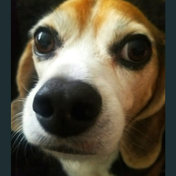 Cutest - Picture 1 of 1